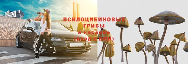 дживик Вяземский