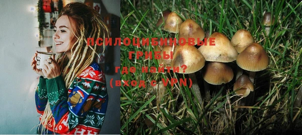 дурь Вязьма