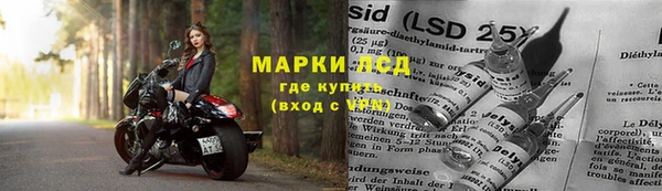 дживик Вяземский
