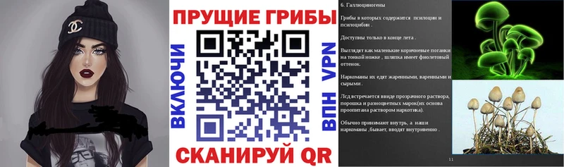 Галлюциногенные грибы Psilocybine cubensis Рузаевка